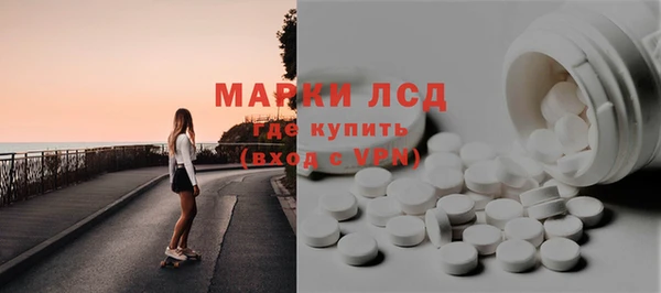 сатива Балахна